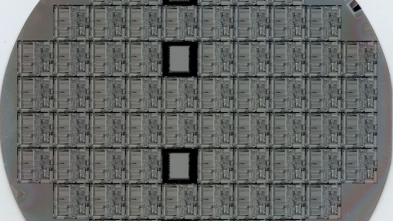 chip（晶圓實景具晶片陣列）
